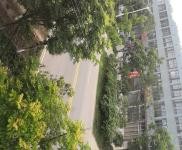 (出售) 仙桃出租出售三伏潭獨立廠房二證齊全，自有土地