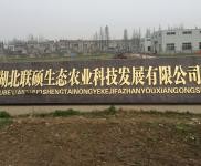 (出售)仙桃 有宿舍辦公室,門衛(wèi)冷藏庫和制冰池齊全