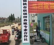 (出售)仙桃 有宿舍辦公室,門衛(wèi)冷藏庫和制冰池齊全