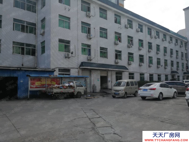 溫州龍灣(出售) 溫州大道8.2畝，建8000平，有宿舍，宜服裝貿易電商類