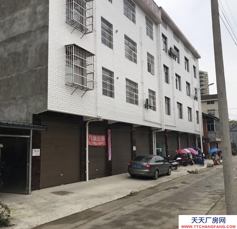 (出租) 漢中西鄉縣櫻花大道輔道門面出租