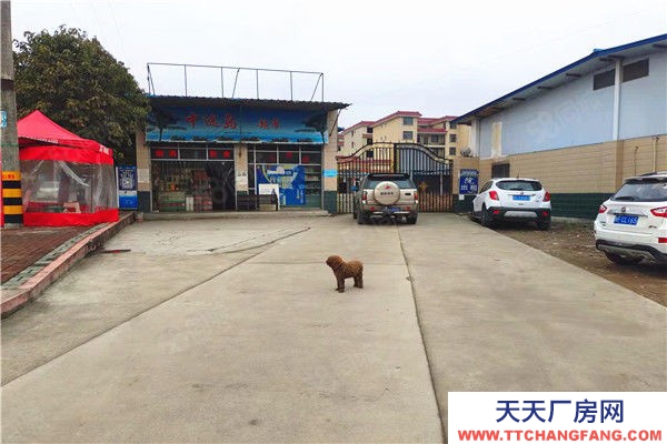 (出租) 漢中漢臺(tái)胡家扁村5000平廠房場(chǎng)地招租