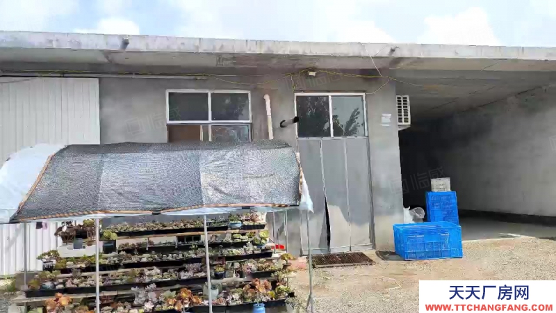 臨沂河?xùn)|九曲斜坊二畝獨院框架廠房，建設(shè)用地，水電路好