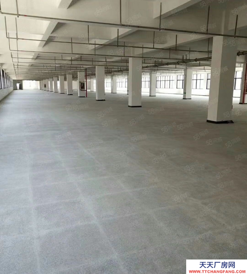 溫州甌海(出租) 五星推薦~上匯1樓2000平方,高5米,不限行業(yè)