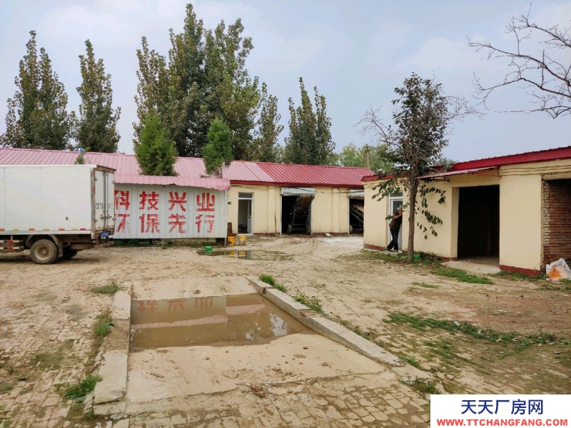 廊坊 大城 面積兩畝半地，房屋12間，有變壓器，了以辦廠養(yǎng)殖等。