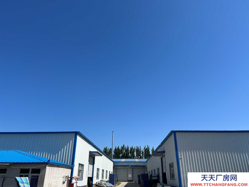 廊坊 大城 出租大城城里附近小童子村廠房一處