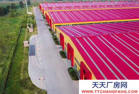 廊坊 文安 37592廊坊市文安縣新橋經濟開發區131408平廠房出租