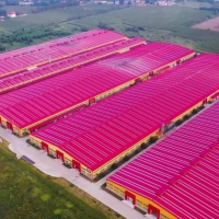 廊坊市文安縣新橋經(jīng)濟(jì)開發(fā)區(qū)13000平米廠房出租