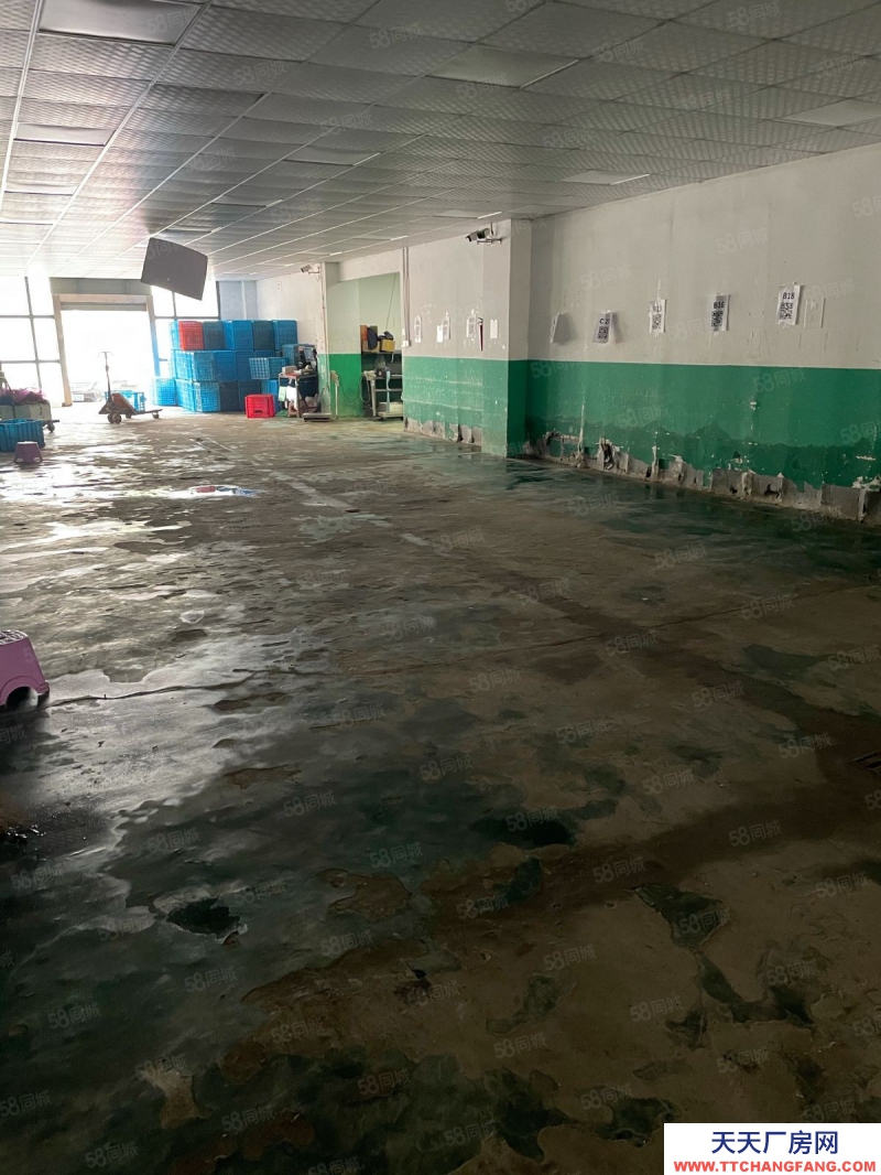 溫州甌海(出租) 潘橋工業區內一樓框架結構410平米