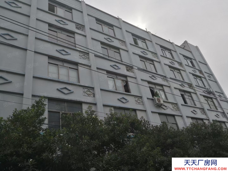 溫州甌海(出售) 出售,澤雅工業(yè)區(qū)獨(dú)門獨(dú)院廠房約4畝建筑面積獨(dú)幢5500平方