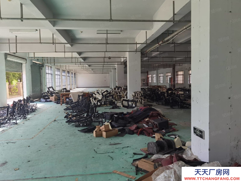 溫州洞頭(出租) 洞頭廠房出租面積500到20000平可以食品生產