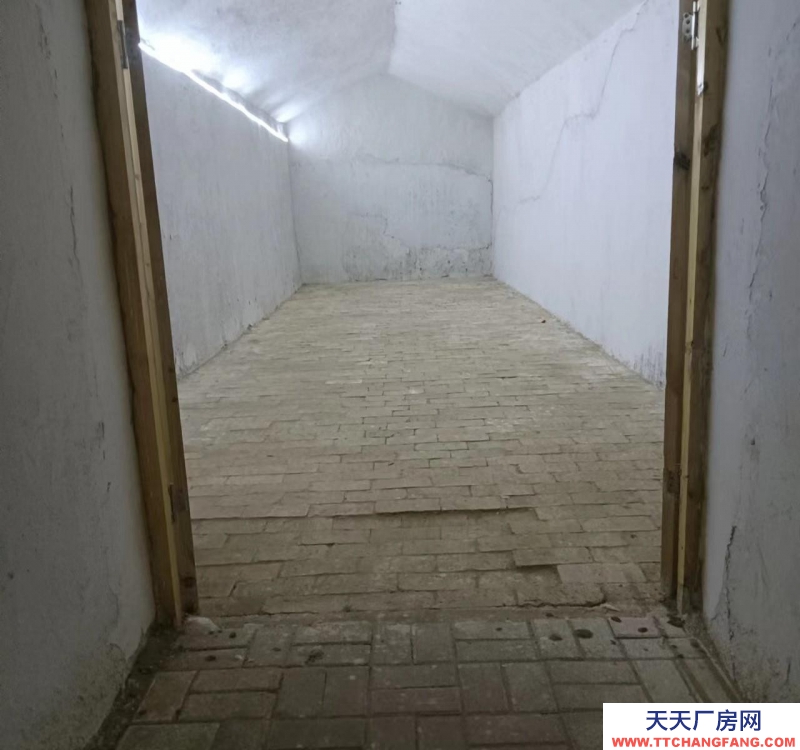 (出租) 蘭州永登天然恒溫窯洞儲藏冷庫