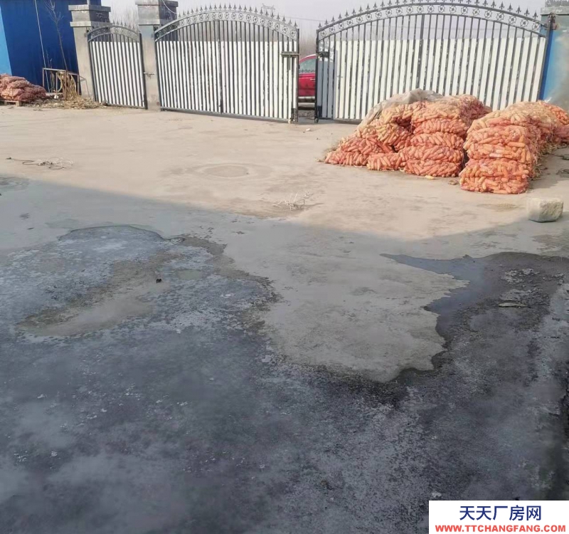 (出租)蘭州七里河 水泥墻面，彩鋼頂面，12面寬，5米高。院子彩鋼棚頂