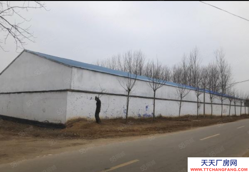 臨沂郯城占地10畝1100平獨院廠房出租,配套全項目不限