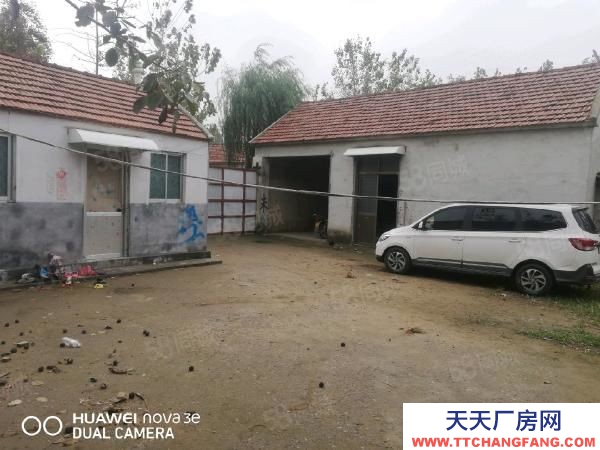 臨沂郯城李莊鎮 養殖廠棚對外出租