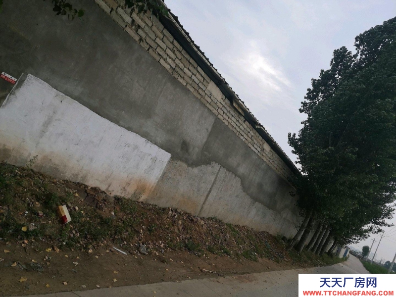 臨沂沂水靠路邊 適合多種用途 價格可議