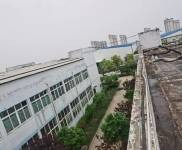 (出租) 仙桃供3層樓，可分租，磚砌敞亮透氣