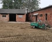 (出租) 天門面積1300多平米實際占地3畝，舊房可以按需改造可做倉庫。