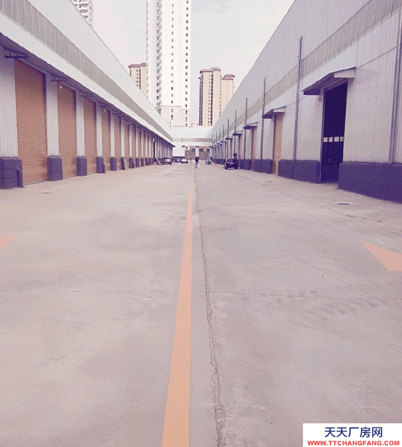 (出租) 蘭州市榆中縣和平鎮(zhèn)牡丹路金川科技園區(qū)