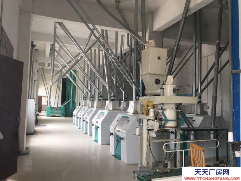 (出售) 蘭州城關(guān)面粉加工設(shè)備10套，面積6423平方米設(shè)備全，接受即可生產(chǎn).