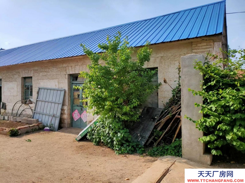 臨沂費縣宜倉儲廠房位置佳交通方便