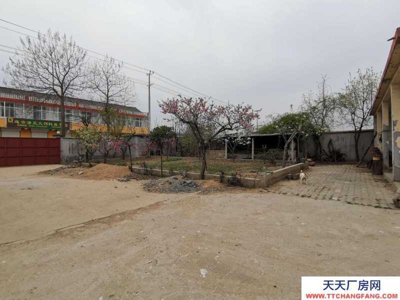 臨沂莒南出租出售莒南洙邊鎮駐地廠房