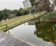 (出租) 徐匯稀有花園式獨棟 辦公展廳 建筑設(shè)計攝影文創(chuàng) 企業(yè)總部