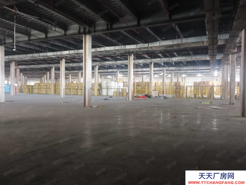 溫州洞頭(出租) 甌江口新區大型物流倉儲30000平米倉庫出租