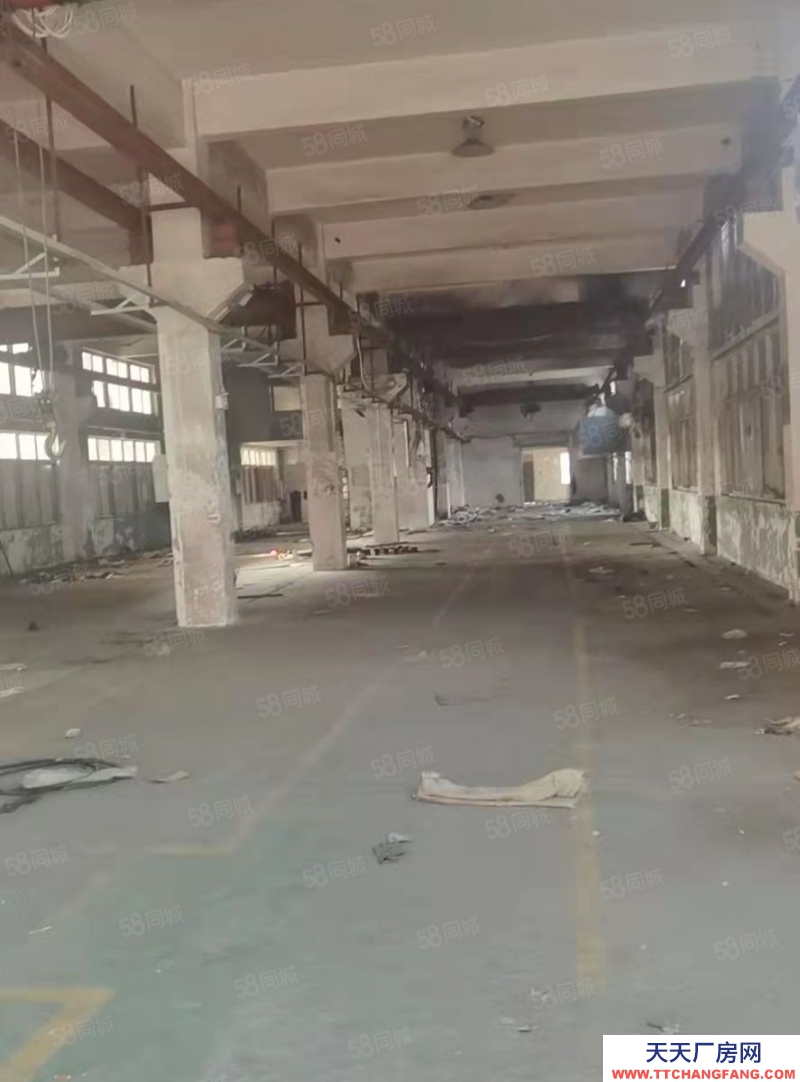 溫州洞頭(出售) 出價就賣洞頭2600平2.6畝獨門獨院