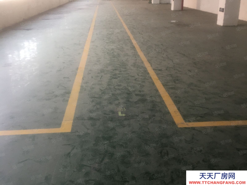 溫州永嘉(出租) 烏牛嶺下，獨幢5000平方，新廠房出租