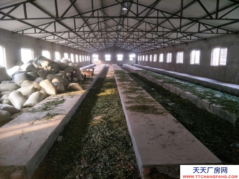 秦皇島 山海關 位于山海關外環路旁，獨立大院，三項電，廠房2000多平米。