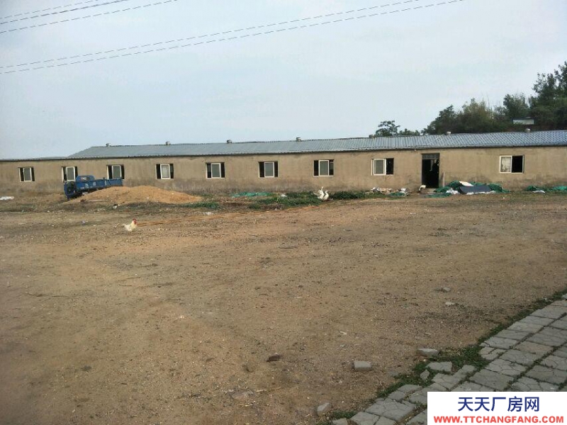 秦皇島 山海關 有獨立大院 廠房 出租