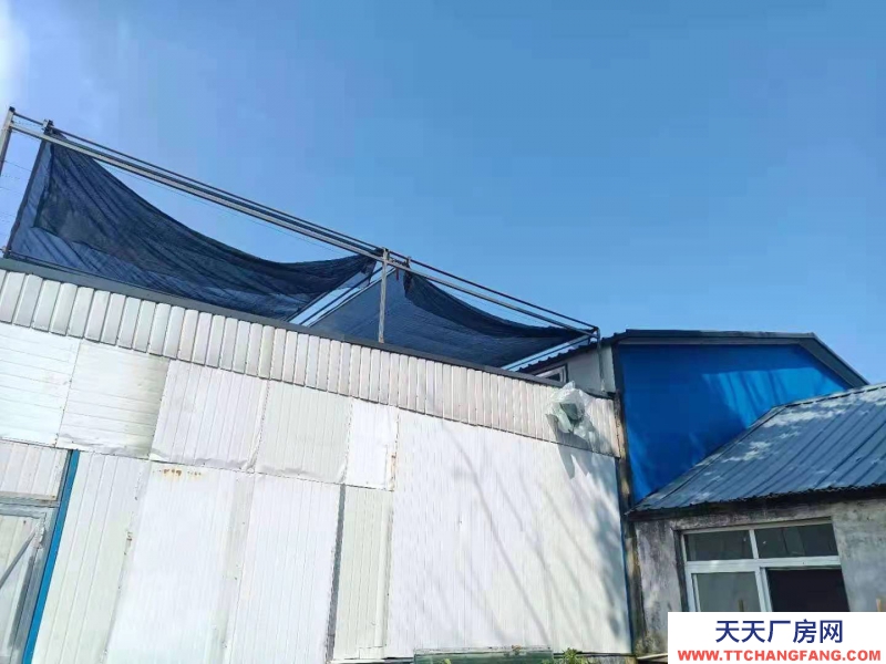 秦皇島 山海關 本廠主要經營大醬，面醬，蒜蓉辣醬，技術成熟，正常營業中