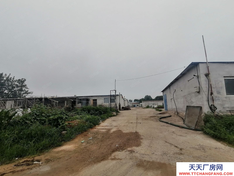 秦皇島 山海關(guān) 紅瓦店13間370平庫房出租