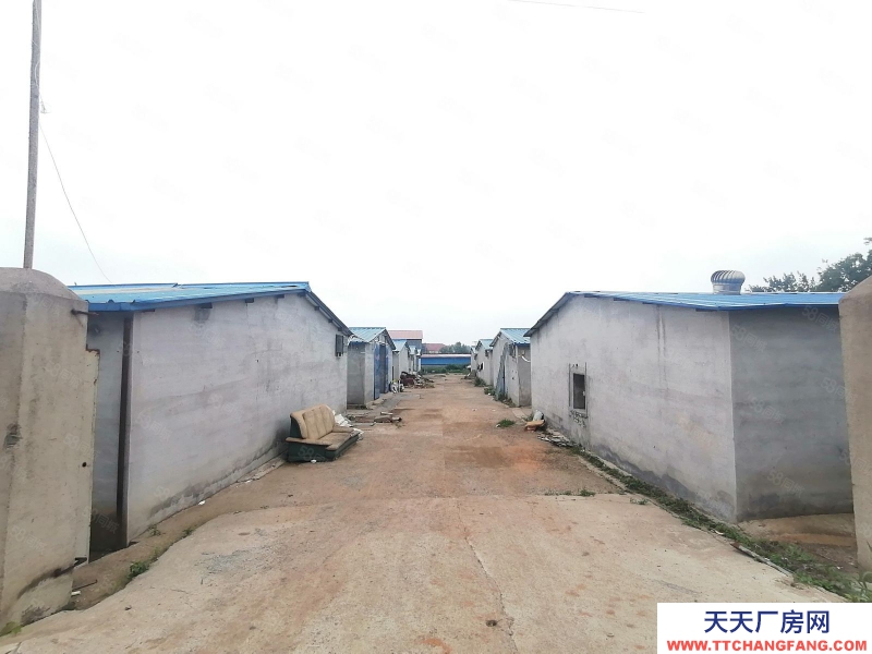 秦皇島 山海關(guān) 紅瓦店13間370平庫房出租