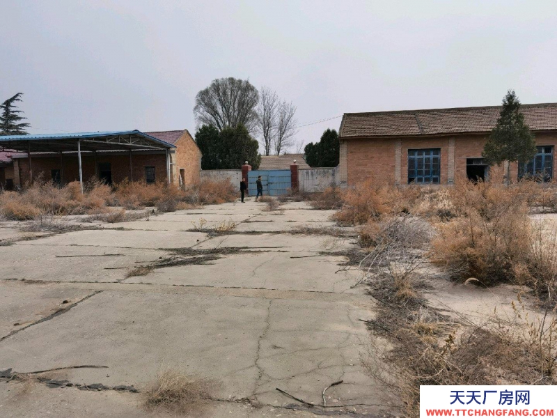 (出租)慶陽西峰 院子7畝大，里面有倉庫1000多面積，其余均為水泥院