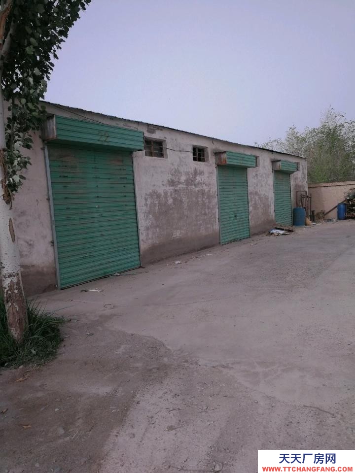 (出租) 酒泉肅州區北大橋頭，饞私貓餐飲附近有50至150平米的庫房出租。