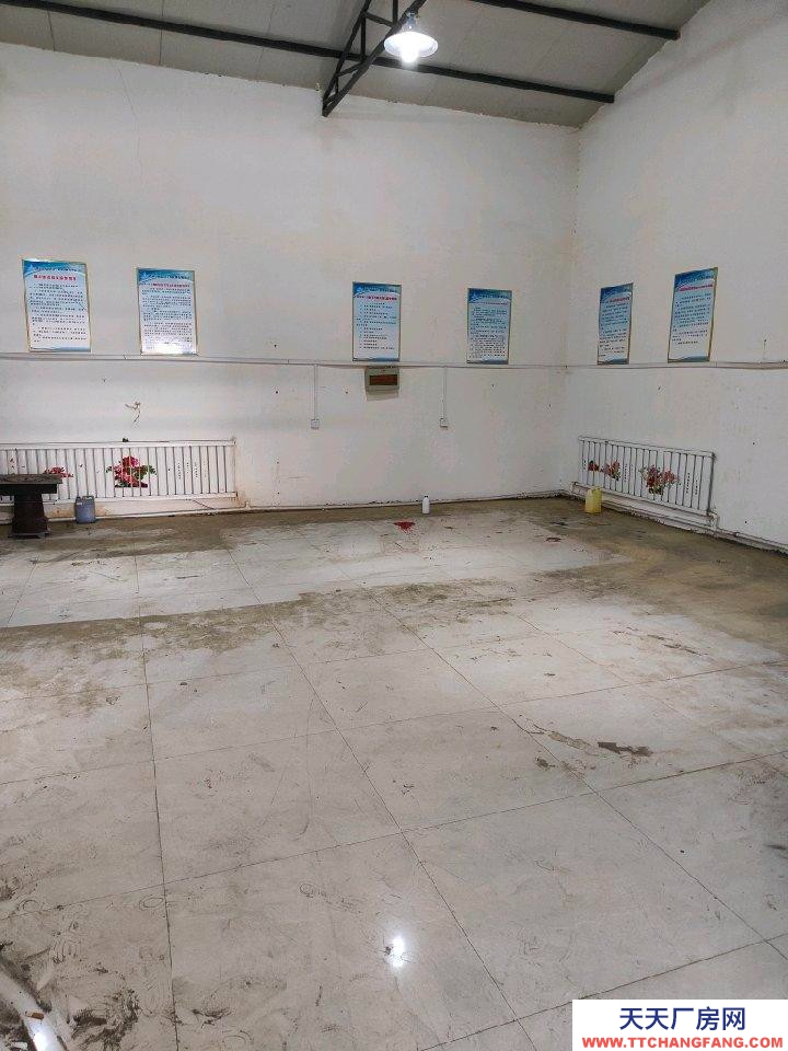 (出租) 酒泉肅州區造紙廠農商銀行對面600平倉庫帶辦公室