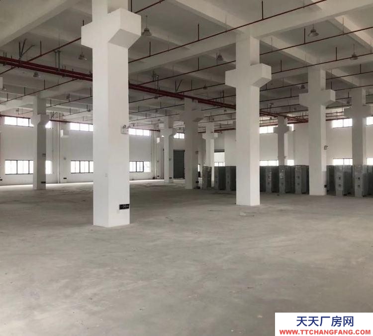 (出租) 酒泉肅州區本人在北關加油站對面有不同面積的庫房出租