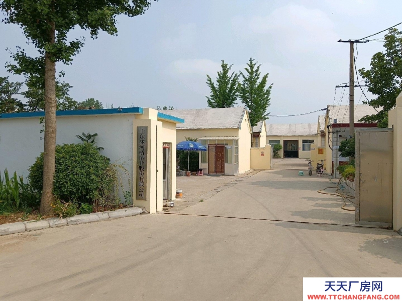 臨沂臨沭公司正常營業中，手續齊全，生產許可證到2027.6月。