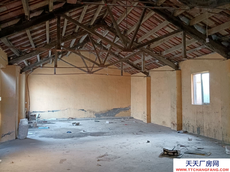 泰安泰山徐家樓工業園 王家店東 廠房倉庫 可整租可分租