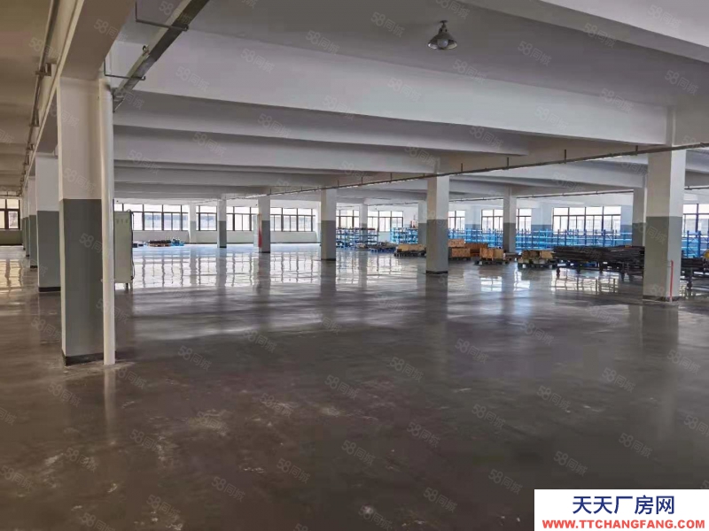 溫州平陽(出租) 國道邊廠房樓上，形象好進出方便適合各行各業