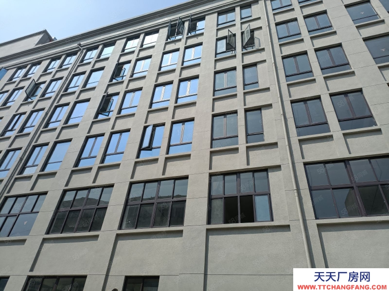 溫州平陽(出租) 蕭江整幢17500平米,首租,可分租,形象好,適合各行業。