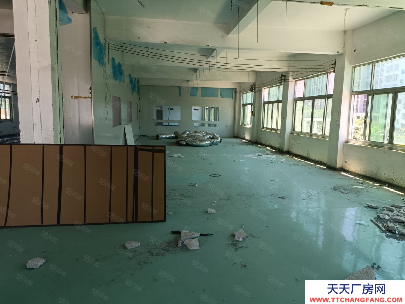 溫州平陽(出租) 熬江廠房出租整棟1~4層帶彩鋼棚約3500平米,低價出租。