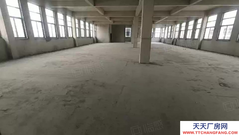 泰安泰山招商!博陽路省莊工業園 大型廠房 標準化車間 辦公室 寫字樓