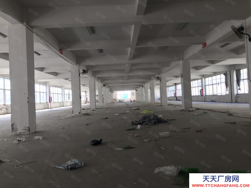 溫州平陽(出租) 標(biāo)準(zhǔn)廠房二樓出租,18含稅,貨梯10噸適合做機械帶行車