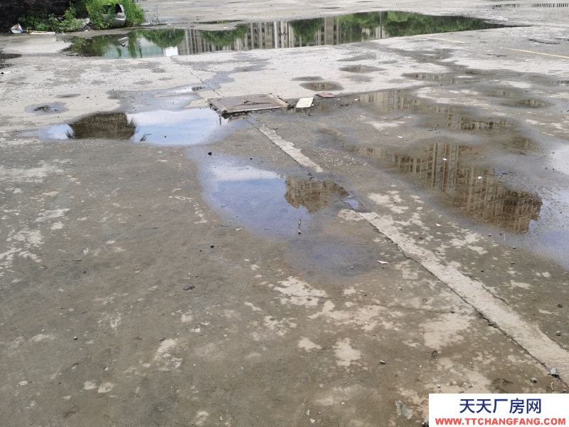 溫州平陽(出租) 整幢出租一至三層,每層1500平方,空地多