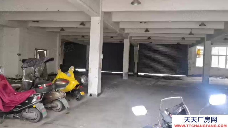 溫州平陽(出租) 整幢出租一至三層,每層1500平方,空地多