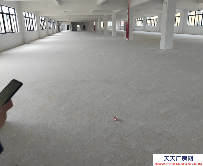 溫州平陽(出售) 出售平陽萬洋樓上1250平方帶裝修 兩部貨梯3噸即買即用