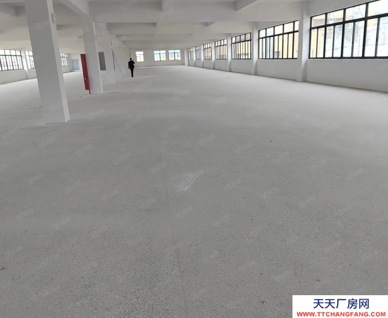 溫州平陽(出售) 出售平陽萬洋樓上1250平方帶裝修 兩部貨梯3噸即買即用